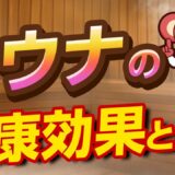 【今更ですが】サウナの健康効果が医学的に見ても有りな件
